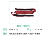 海綿亚洲精品蜜桃无码有什麽特點？